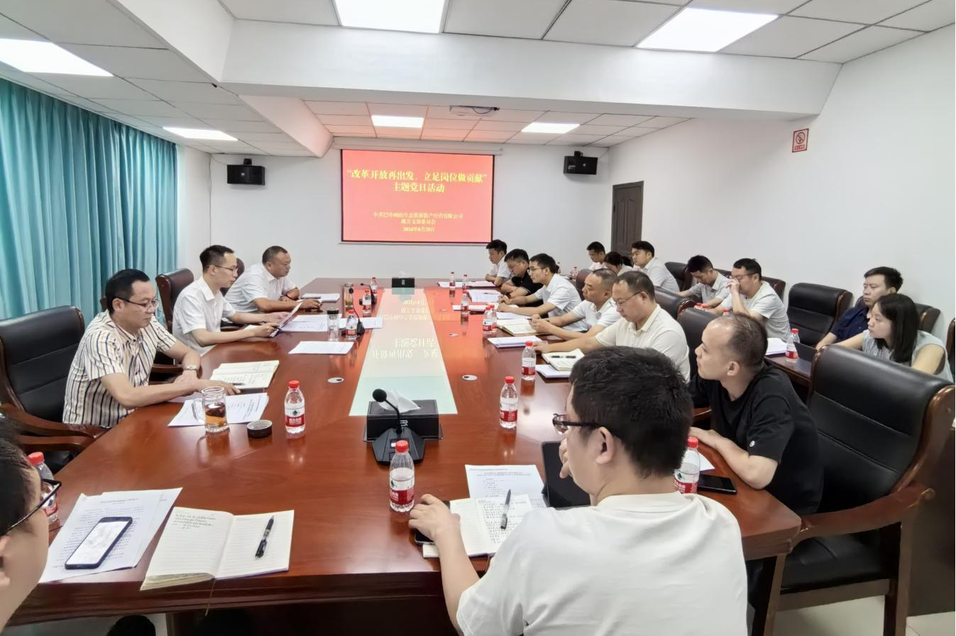 巴中兩山公司開展“改革開放再出發(fā)、立足崗位做貢獻”主題黨日活動